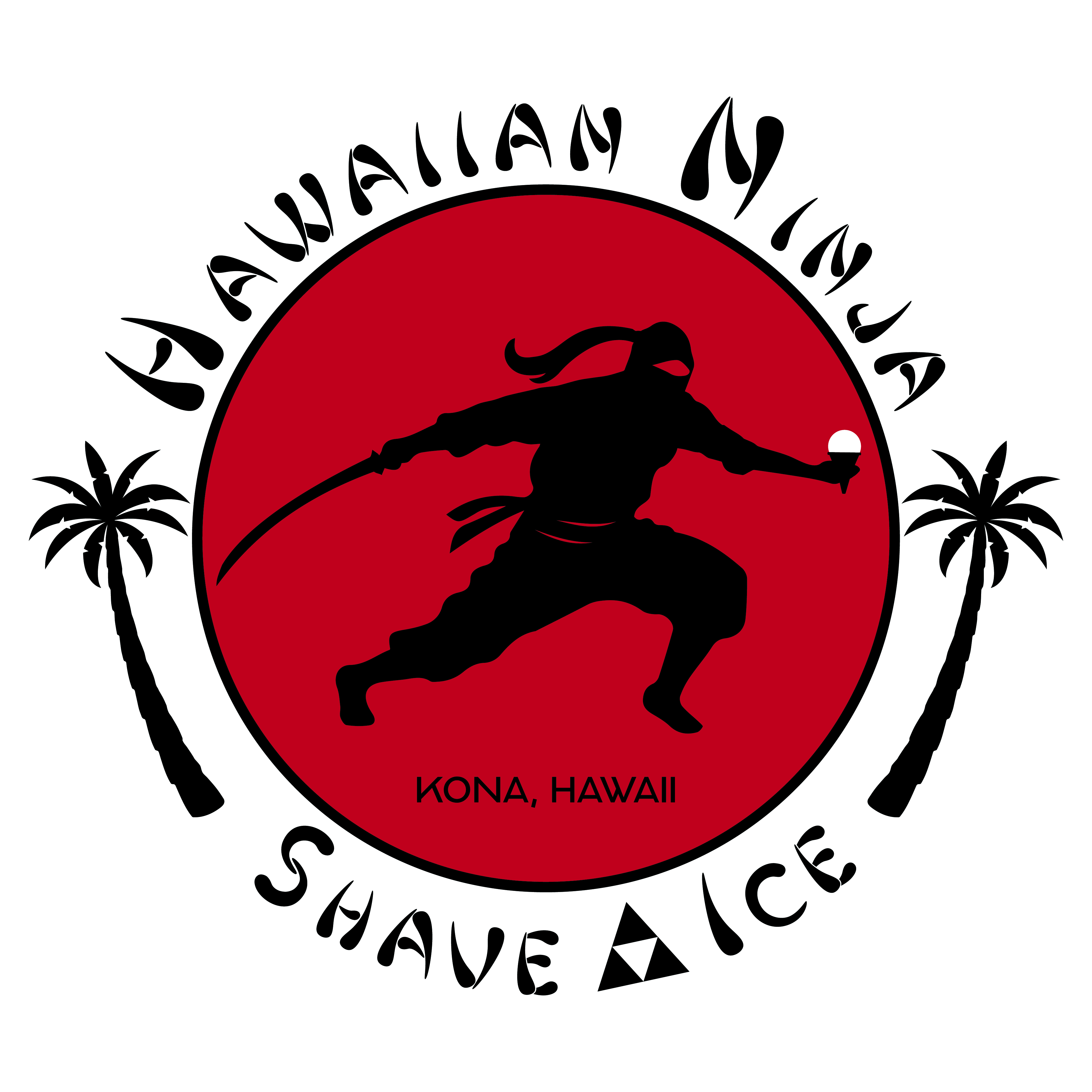 Hawaiian Ninja Shave Ice: project preview